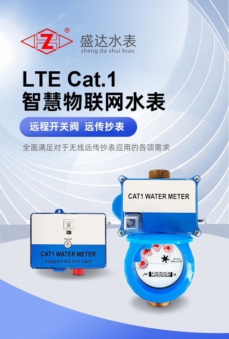 Cat.1無(wú)線(xiàn)遠(yuǎn)傳智能水表
